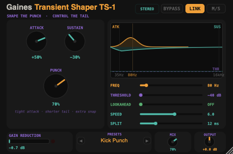 TS-1 Transient Shaper